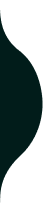 hero_3_1 shape